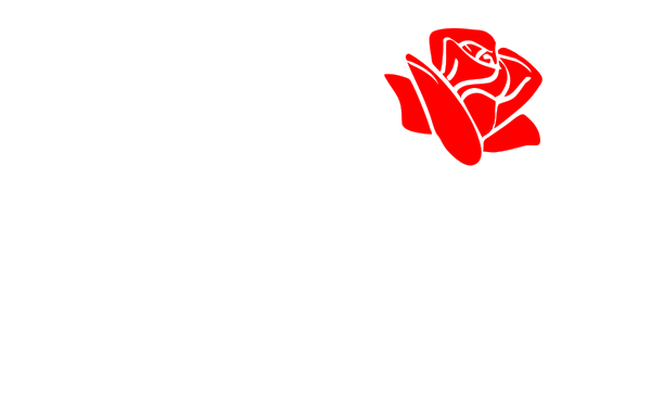 Last Remnant Co